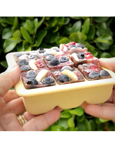 Baby Food and Breast Milk Freezer Tray 6...
