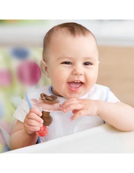 Blumenförmiger Fruchtsauger und Gefrierhülle Set - Himmelblau