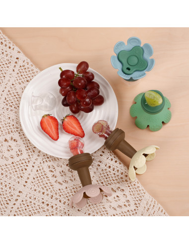 Blumenförmiger Fruchtsauger und Gefrierhülle...