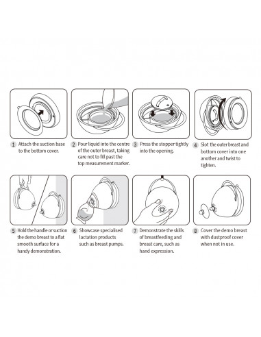 Milchspendende Demonstrationsbrust - Ivory