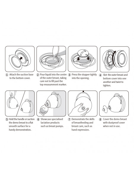 Milchspendende Demonstrationsbrust - Ivory
