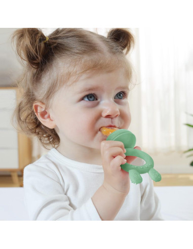 Fresh Food Feeder Mini Combo - Set - Steelblue